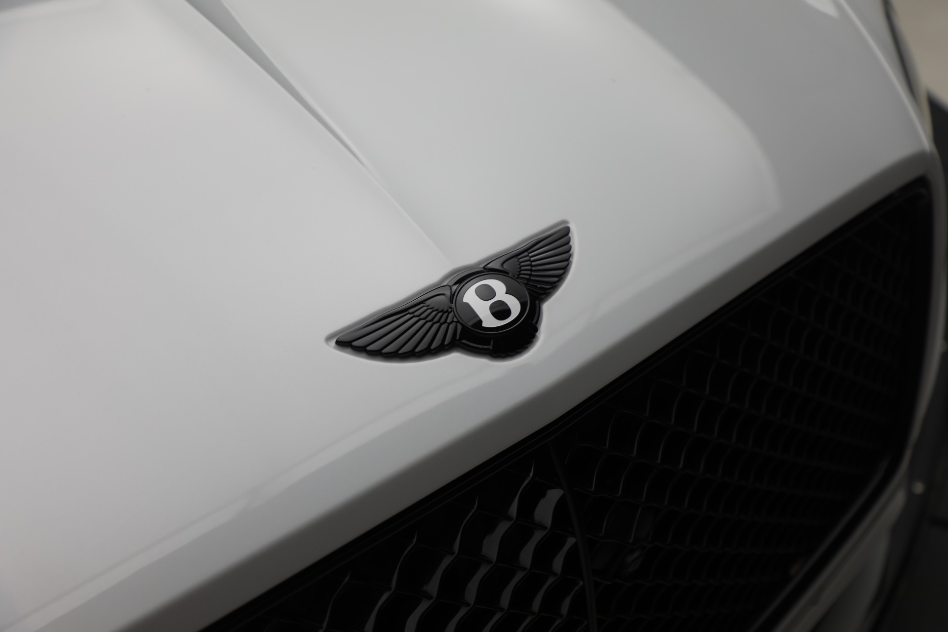 Emblema Negro Nuevo Para Capó Y Maletero Bentley Continental GT/Flying Spur - Insignia Original